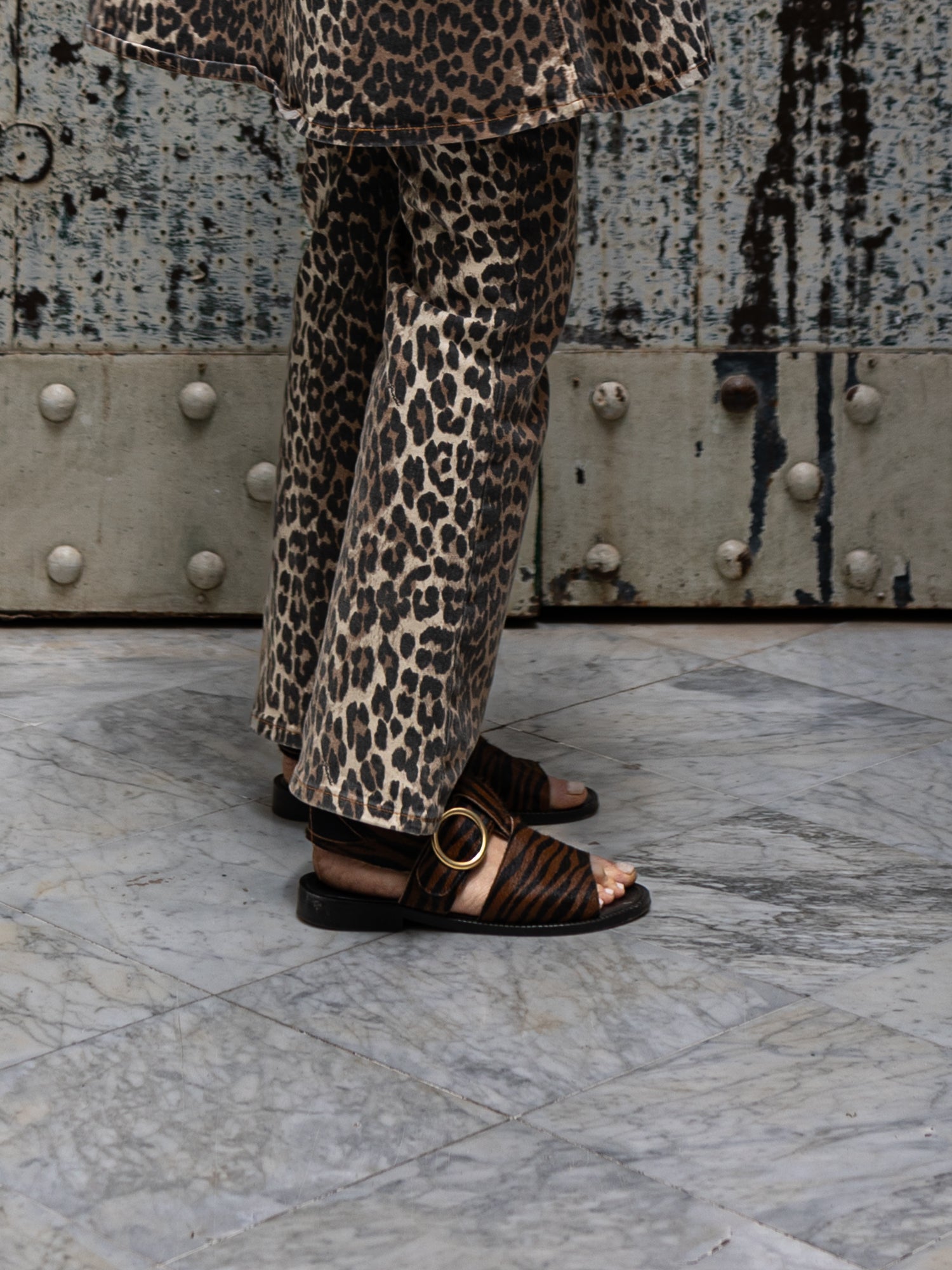 THE PALERMO RUST ZEBRA
